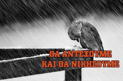 Η αισιόδοξη φωτό...