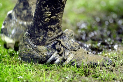 Το «αγροτικό» των 22 ρέφερι της Super League