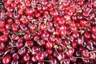 Ποιές είναι οι Υδατοδιαλυτές βιταμίνες