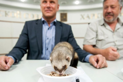 Euro 2012: Ο Fred το κουνάβι προβλέπει το νικητή