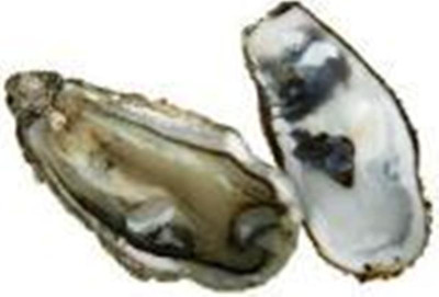 Τροφές που αυξάνουν την ερωτική διάθεση