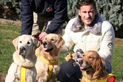 Το λαμπραντόρ του Τότι έσωσε δύο ζωές!