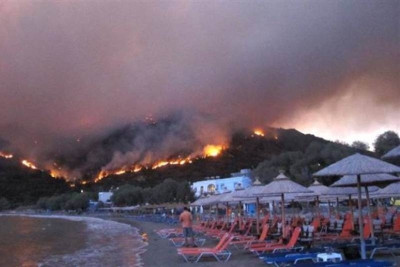 Ζημιές 25-30% του φυτικού κεφαλαίου της μαστίχας