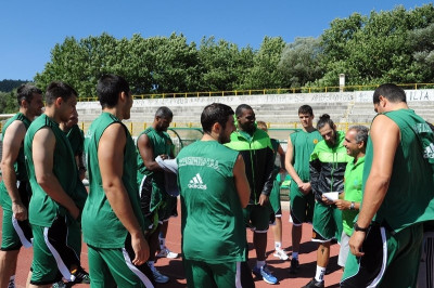 Τα πράσινα… βάσανα (photos)