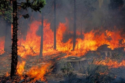 Μεγάλη πυρκαγιά και στη Φθιώτιδα