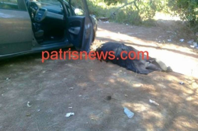 H γυναίκα του ιερέα πίσω από την δολοφονία στην Ηλεία