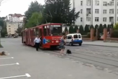 Εκπληκτικό: Σκύλος προσπάθησε να... αυτοκτονήσει στο τραμ!