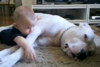 Το πιο τρυφερό βίντεο με παιδί και σκύλο!