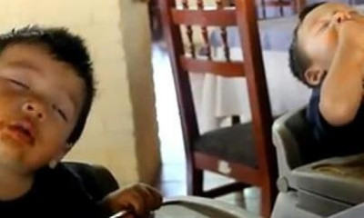 Τρώνε μακαρόνια και... κοιμούνται! (video)