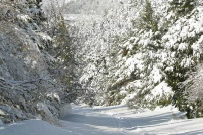 Επιδείνωση του καιρού - Δείτε πού θα χιονίσει