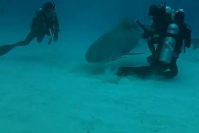 Βίντεο: Ένα σπορ διαφορετικό από τα άλλα