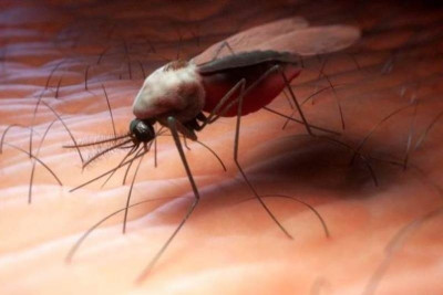 Βίντεο: Έζησε τον απόλυτο εφιάλτη μετά από ένα τσίμπημα κουνουπιού