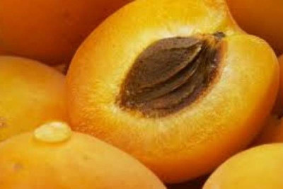 Προσοχή: Ανάκληση βερίκοκου από τον ΕΦΕΤ