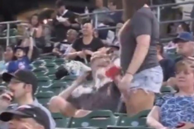 Δεν την φίλησε και τον μπουγέλωσε (video)