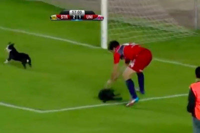 Βολιβία: Ballboy έσωσε κουτάβι από ποδοσφαιριστή (video)