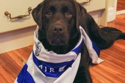 ΚΠΡ: Σκύλος έφαγε τα εισιτήρια οπαδού (photos)