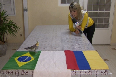 Παγκόσμιο Κύπελλο Ποδοσφαίρου – Προημιτελικοί: Νίκη Βραζιλίας προβλέπει η … παπαγαλίνα (photos)