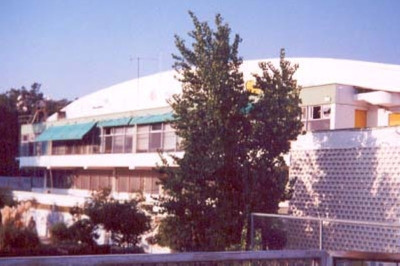 Κύπελλο Ελλάδας Γυναικών: Κεκλεισμένων το Πανιώνιος - Ίκαρος Καλλιθέας