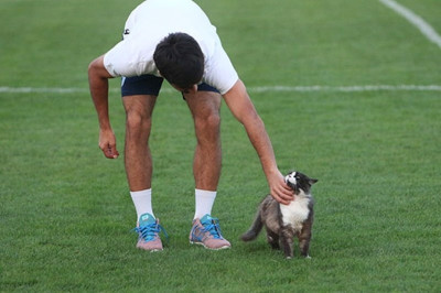 Ρωσία: Η ημέρα μιας... γάτας στο γήπεδο (photos)