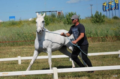 Ιππασία: Αντίστροφη μέτρηση για το «Endu Race 2014» (photos)