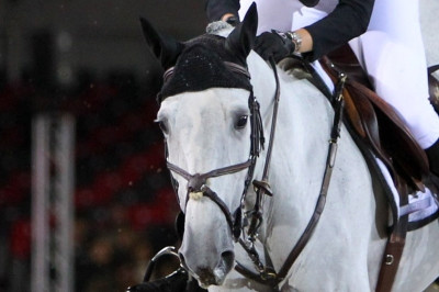 Ιππασία: Πανελληνιονίκες 2014, Λω, Ραβίνι και Ρούπα