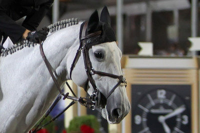 Ιππασία: Οι «Χριστουγεννιάτικοι» Πανελλήνιοι Αγώνες Εμποδίων