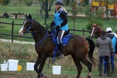 Ιππασία: Χαμός στην εκκίνηση του «Endu Race 2014» (photos)