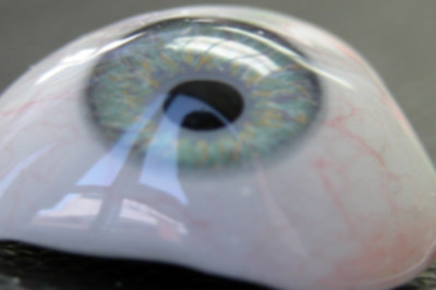 ΜΜΑ: Έπεσε το μάτι από λάκτισμα! (video)