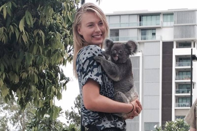 Μαρία Σαράποβα: Βρήκε κοάλα πιο... όμορφο από αυτή! (photos)