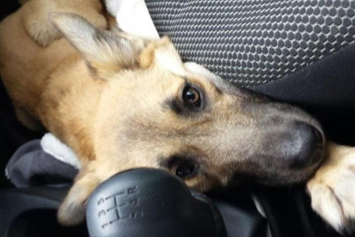 Λάνγκφορντ: «Καμία πρόταση;»