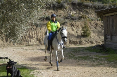 Ιππασία: Οι νικήτριες στη Ρόδο (photos)