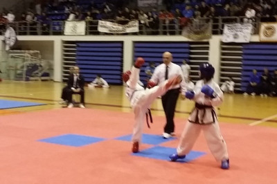 Τάε Κβον Ντο: 600 αθλητές από 95 σωματεία στο Πανελλήνιο Πρωτάθλημα