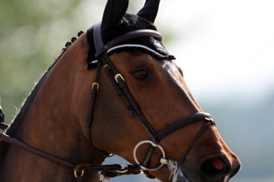 Ιππασία: Θρίαμβος για Μαρτίνη στην Ολλανδία