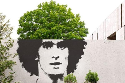 Μάντσεστερ Γιουνάιτεντ: Μέχρι και τα... δέντρα πιστεύουν πια τον Φελαϊνί (photos)