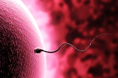 Πόσο ζει το σπέρμα μέσα στον κόλπο