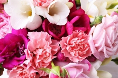 Ποιο λουλούδι αντιστοιχεί στο ζώδιό σου;