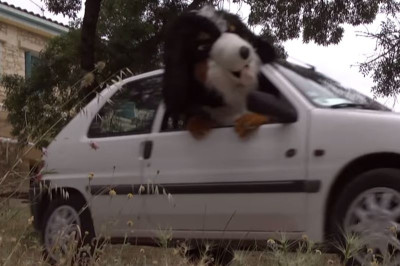 Τα «σπάει» και πάλι ως σκύλος ο Ρεμί! (video)