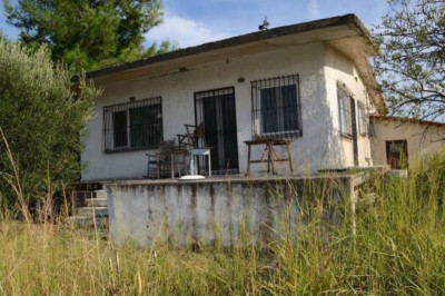 Αυτά βρήκε η Αντιτρομοκρατική στο κρησφύγετο του Πετρακάκου (photos)