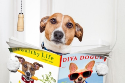 Δυσκοιλιότητα: Τροφές & ποτά που βοηθούν ή κάνουν το πρόβλημα χειρότερο (γράφημα)