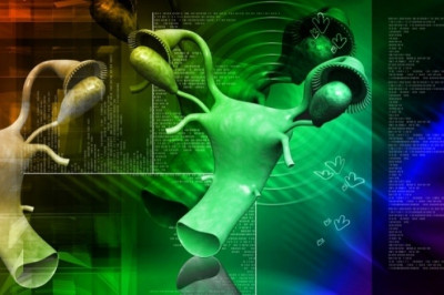 Κύστεις στις ωοθήκες: Τι πρέπει να γνωρίζετε για τα αίτια, τις επιπτώσεις και την αντιμετώπισή τους