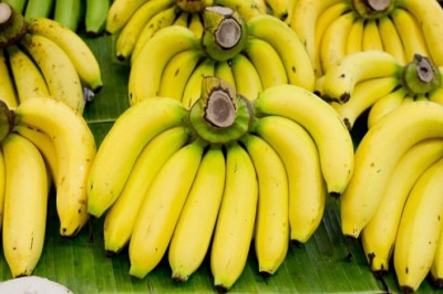 Τα άγνωστα οφέλη της μπανάνας – Γιατί πρέπει να την καταναλώνετε άφοβα