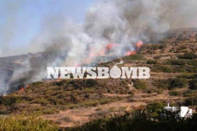 Σε εξέλιξη μεγάλη φωτιά σε δασική έκταση στον Ωρωπό
