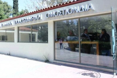 Τα… κανονίζουν μόνοι τους!