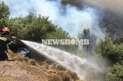 Φωτιά Δερβενοχώρια: Οι φλόγες περικύκλωσαν την κοινότητα Στεφάνη - Κατευθύνονται προς το Πράσινο