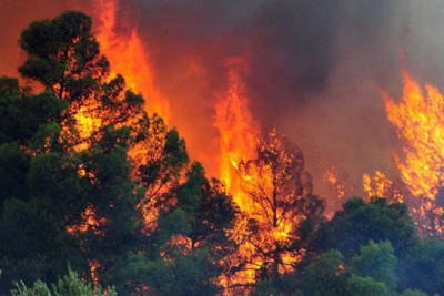 ΕΚΤΑΚΤΟ: Φωτιά Τώρα στην Παλλήνη