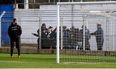 Το ξύλο της… αρκούδας στα Περιβόλια (photos)