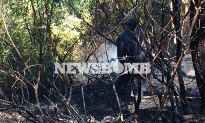 ΦΩΤΙΑ ΤΩΡΑ: Σε ύφεση η πυρκαγιά στο Κρυονέρι