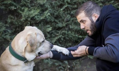 ΚΛΑΜΑ: Ο Παππάς… χαζεύει τον σκύλο του με μπάλα του Παναθηναϊκού