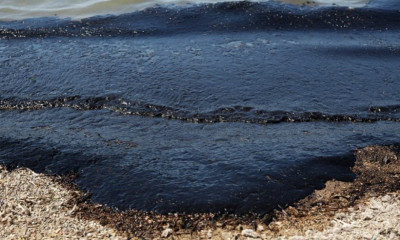 Ιστιοπλοΐα: Αναστολή αγώνων Τριγώνου και Ανοικτής Θαλάσσης στον Σαρωνικό!