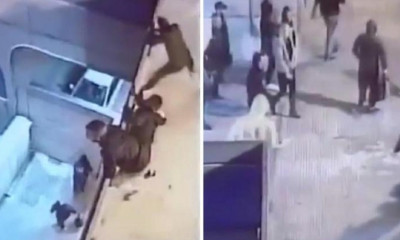 Εικόνες ντροπής! Έτσι μπήκαν κροτίδες και φωτοβολίδες στο ντέρμπι της Κύπρου! (photos+video)